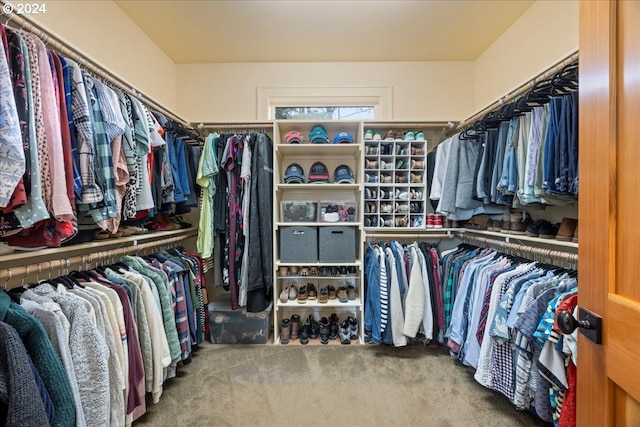 walk in closet with carpet