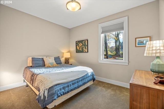 bedroom with carpet flooring