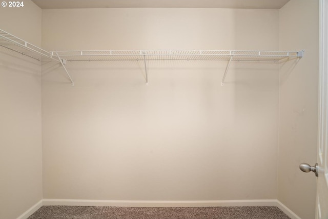 walk in closet featuring carpet