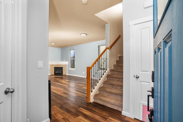 foyer with a tile fireplace and dark hardwood / wood-style flooring