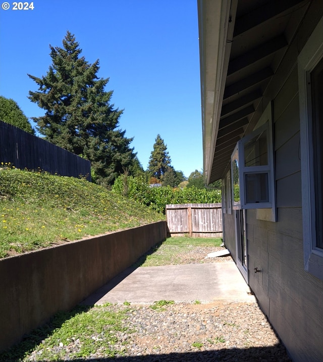 view of yard featuring a patio