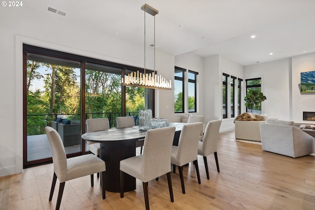 dining area featuring a healthy amount of sunlight and light hardwood / wood-style flooring