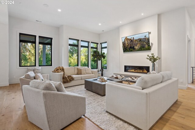 living room featuring light hardwood / wood-style flooring