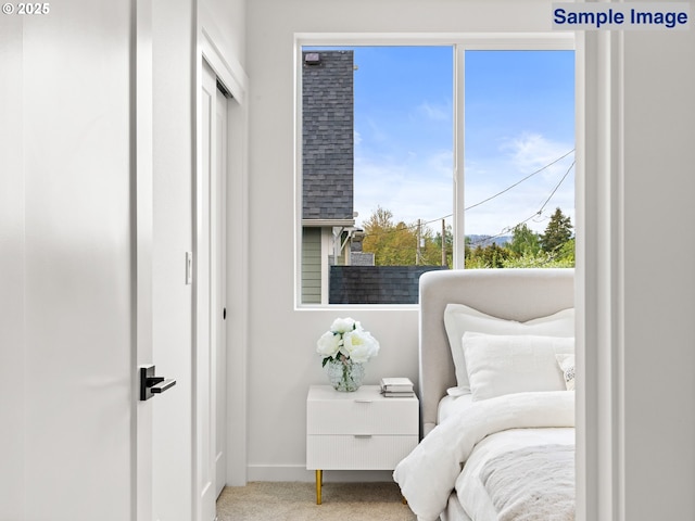 bedroom with baseboards and carpet floors
