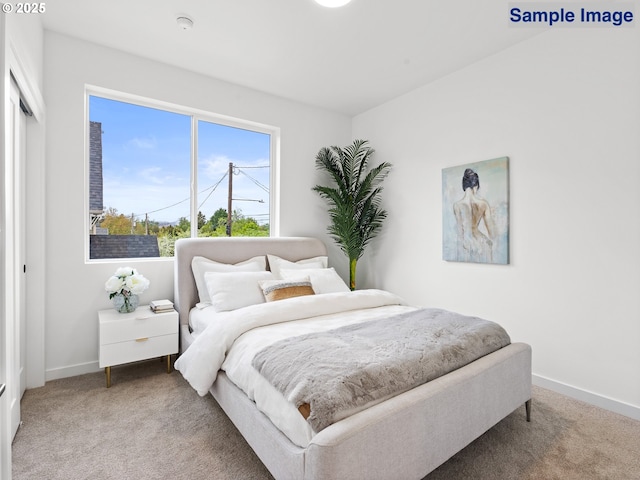 bedroom featuring carpet, baseboards, and a closet