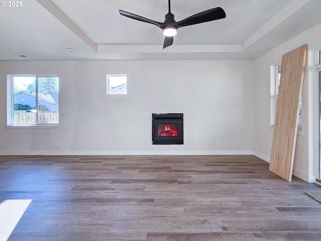 unfurnished room featuring a wealth of natural light, a tray ceiling, and wood finished floors