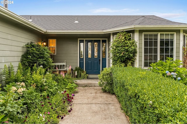 view of exterior entry featuring roof with shingles