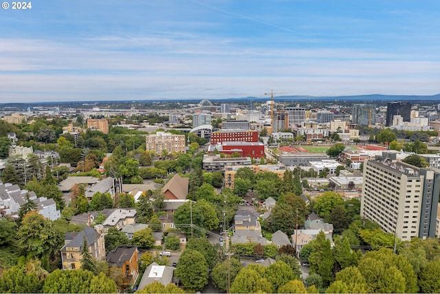 bird's eye view