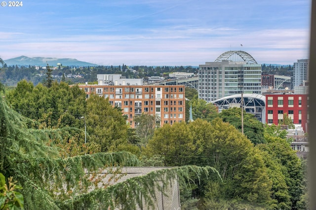 property's view of city featuring a mountain view