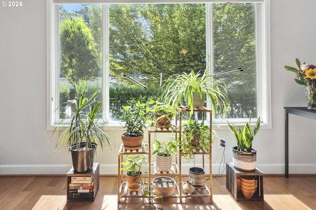 sitting room featuring hardwood / wood-style floors and a wealth of natural light