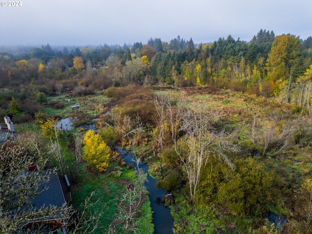bird's eye view with a forest view