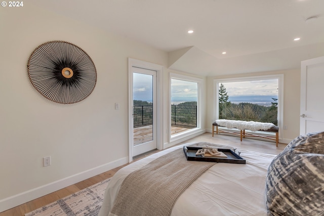 bedroom featuring access to exterior, multiple windows, and light wood-type flooring