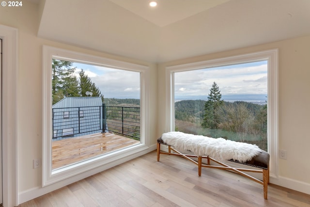 sitting room featuring light hardwood / wood-style flooring