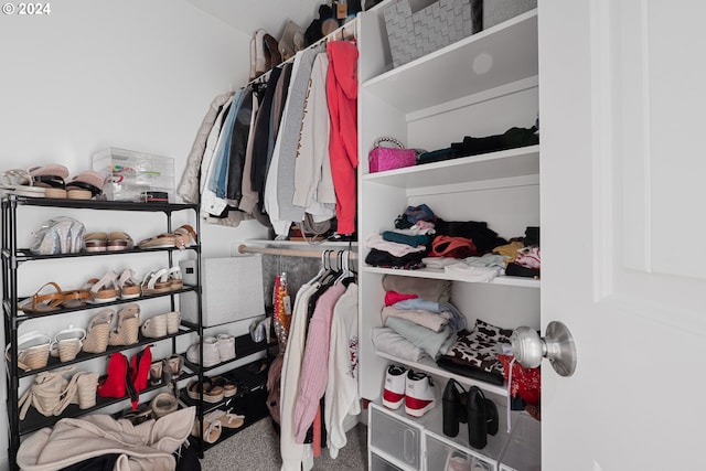 walk in closet featuring carpet flooring