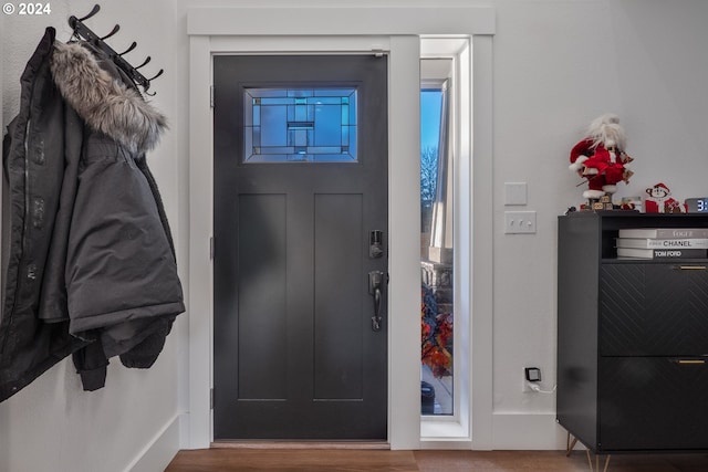 foyer entrance with wood-type flooring