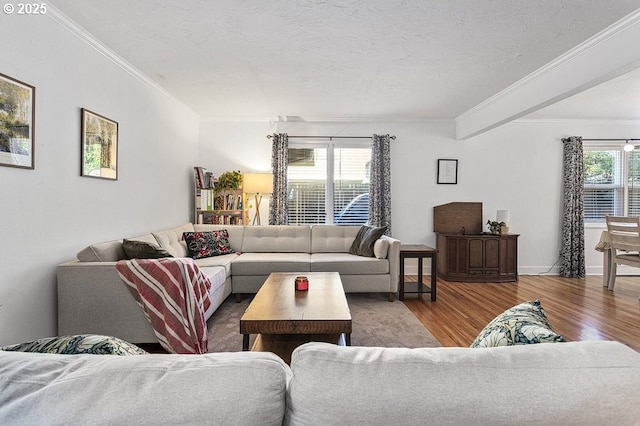 living room with a textured ceiling, wood-type flooring, and crown molding