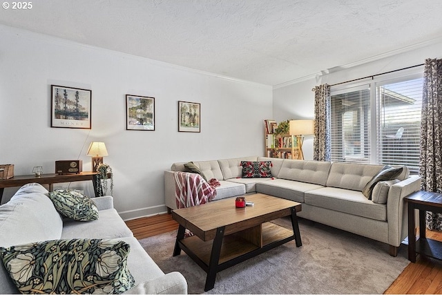 living room with crown molding, wood-type flooring, and a textured ceiling