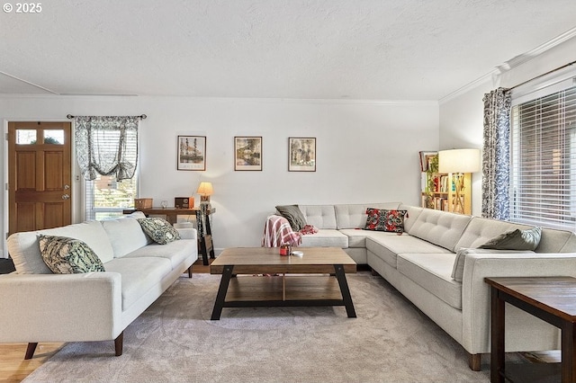 living room featuring a textured ceiling and ornamental molding