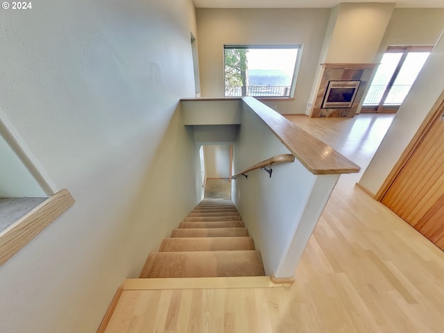 stairway with a tile fireplace and hardwood / wood-style flooring