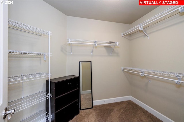 walk in closet with carpet flooring