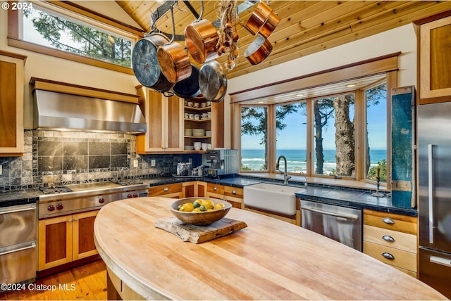 kitchen featuring sink, a water view, appliances with stainless steel finishes, wall chimney exhaust hood, and lofted ceiling