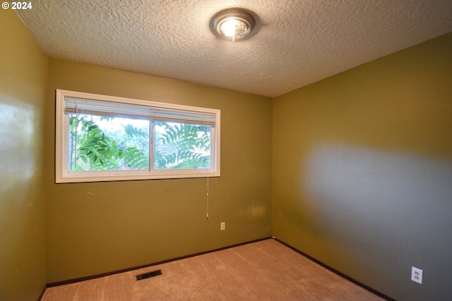 unfurnished room with a textured ceiling and light carpet