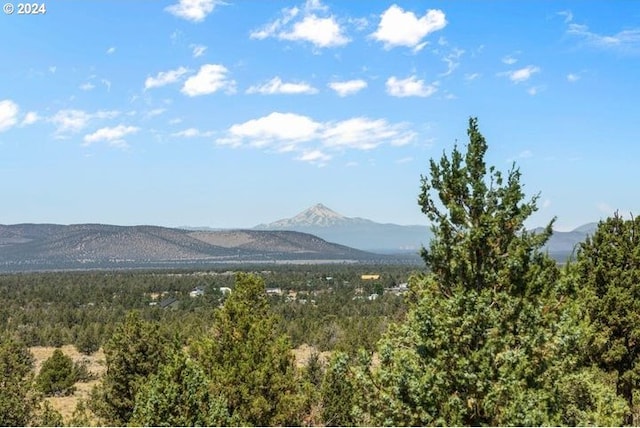 view of mountain feature