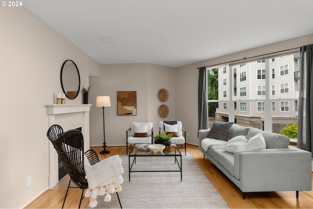 living room with light hardwood / wood-style flooring