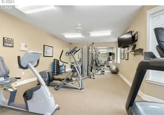 workout area featuring carpet floors