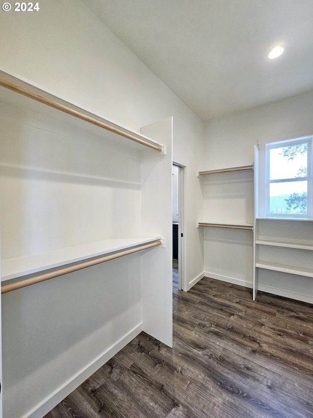 walk in closet with dark hardwood / wood-style floors