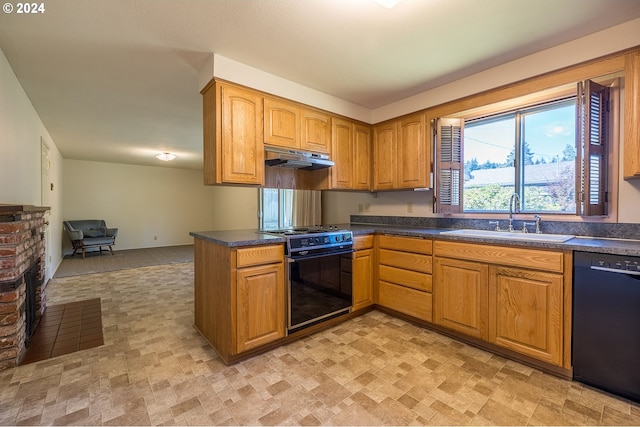 kitchen with dishwasher, a fireplace, range, and sink