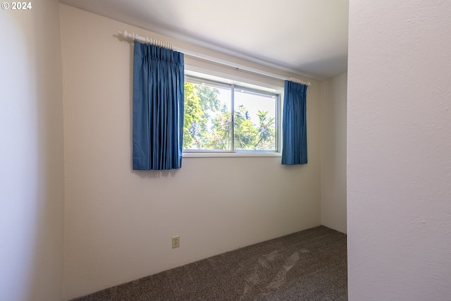 unfurnished room with carpet floors