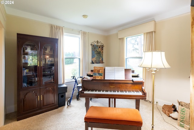 miscellaneous room with crown molding, light carpet, and plenty of natural light