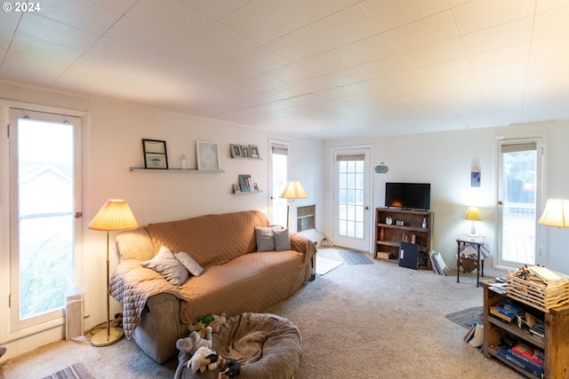 living room featuring light colored carpet