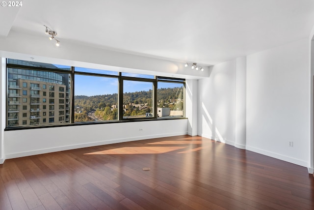 unfurnished room featuring dark wood-type flooring