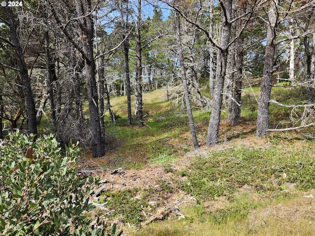 Carpenterville Rd Unit 404/400, Gold Beach OR, 97444 land for sale