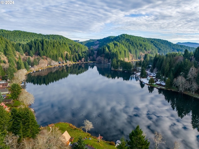 71465 Northshore Dr, Birkenfeld, OR 97016 - water view featuring a forest and a mountainous background
