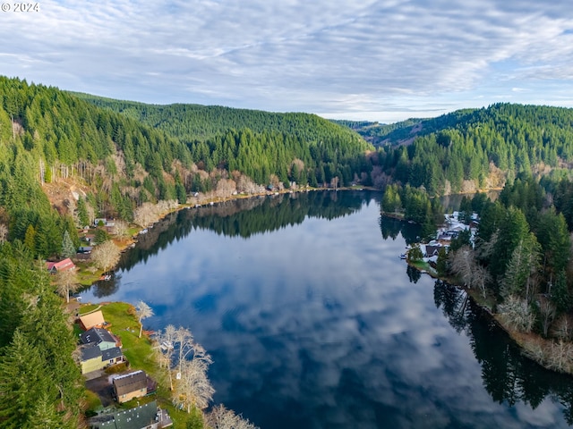 71465 Northshore Dr, Birkenfeld, OR 97016 - aerial view of property and surrounding area featuring a forest and a water and mountain view