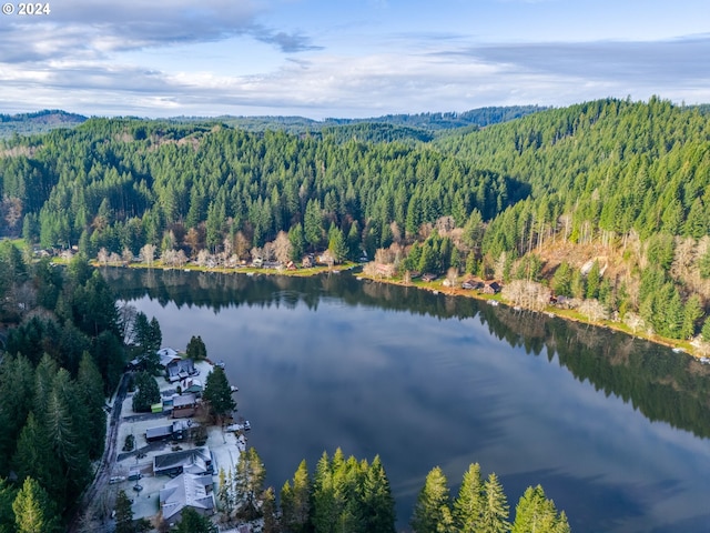 71465 Northshore Dr, Birkenfeld, OR 97016 - aerial overview of property's location with a heavily wooded area and a nearby body of water