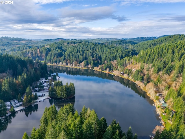 71465 Northshore Dr, Birkenfeld, OR 97016 - aerial view of a forest and a nearby body of water