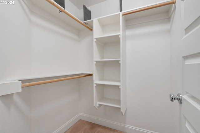 walk in closet featuring carpet