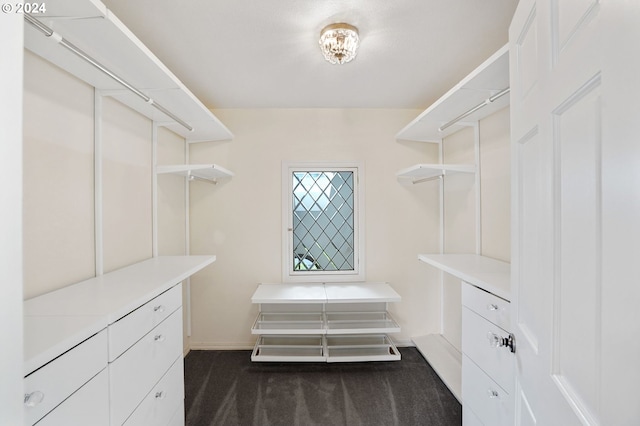 spacious closet with dark carpet