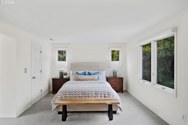 bedroom with light carpet