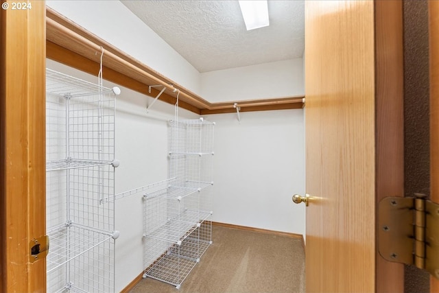 walk in closet featuring carpet flooring