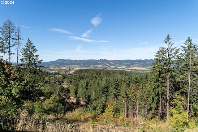 property view of mountains