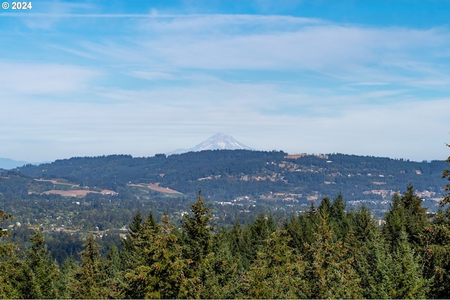 view of mountain feature