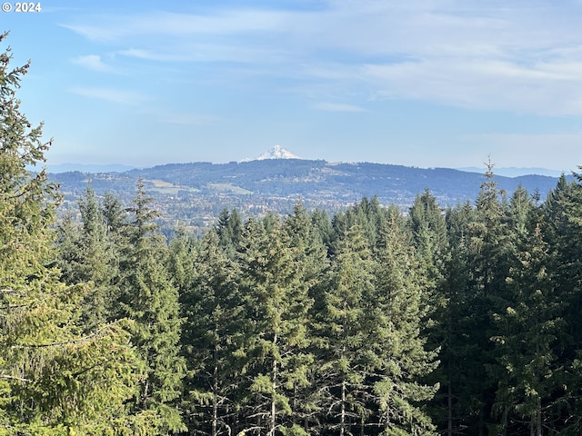 property view of mountains