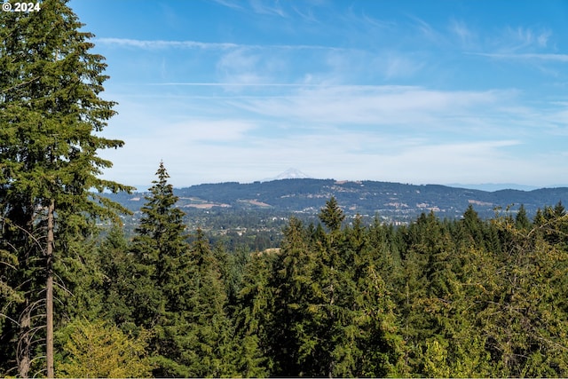 property view of mountains