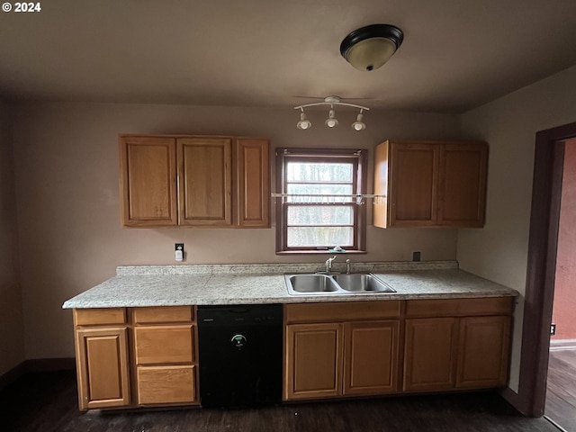 kitchen with black dishwasher, dark wood-type flooring, and sink