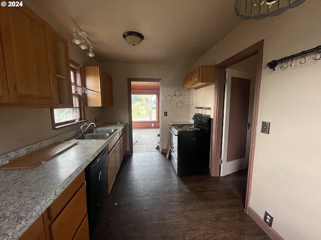 kitchen featuring black appliances, dark hardwood / wood-style flooring, and sink